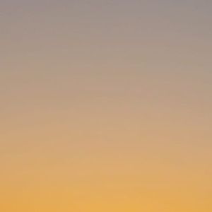 Meet your Posher, Nicholas